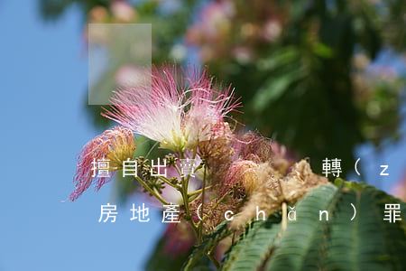 擅自出賣、轉(zhuǎn)讓軍隊房地產(chǎn)罪立案標準_2021擅自出賣、轉(zhuǎn)讓軍隊房地產(chǎn)罪量刑標準和認定構(gòu)成要件